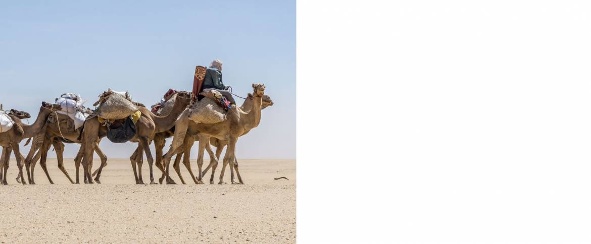 camel_caravan_I.jpg
